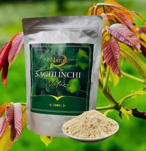 Bột Protein Shachi Inchi Nature